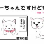 ちーちゃんですけどもっ【第352話】「魅力がいっぱいシニア犬」(ブログ)