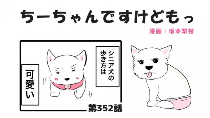 ちーちゃんですけどもっ【第352話】「魅力がいっぱいシニア犬」(ブログ)