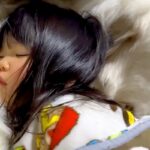 3歳の女の子が『超大型犬の上で寝てしまった』結果→起こさないように気遣って…とんでもなく尊い光景が25万再生「なんて平和…」「愛おしい」(ブログ)