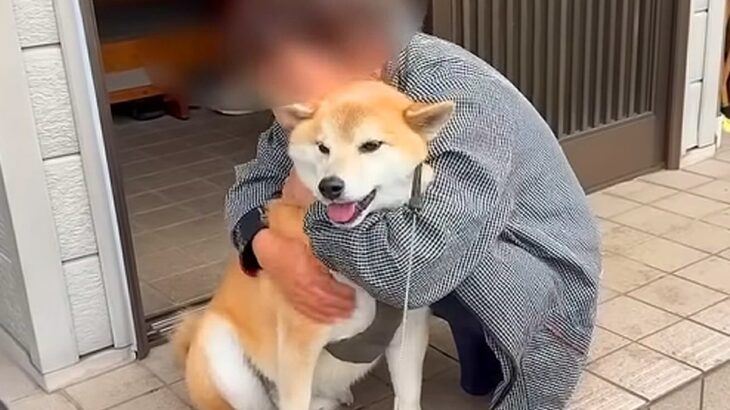 3年間、ご近所のおばあちゃん家に通い続けた犬たち…思わず泣けてくる『かけがえのない光景』が64万再生「まるで孫…心が暖かくなる」「素敵」(ブログ)