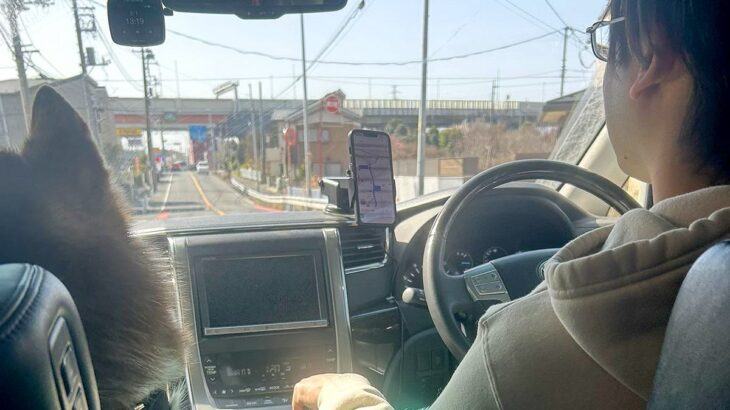 『手の置き場所よｗ』ドライブ中の夫と大型犬を、後部座席から撮影したら…思わずニヤける『後ろ姿』に3万いいね「付き合いたてのカップルで草」(ブログ)