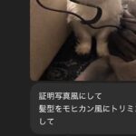 ChatGPTに『犬をモヒカンにして』とお願いしてみた結果→思っていたのと違いすぎる『まさかの髪型』に爆笑「毛伸びてて草」「別の犬ｗｗ」(ブログ)