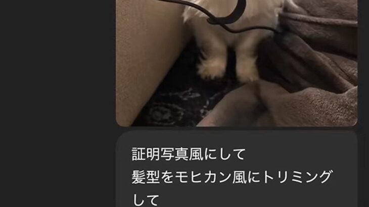 ChatGPTに『犬をモヒカンにして』とお願いしてみた結果→思っていたのと違いすぎる『まさかの髪型』に爆笑「毛伸びてて草」「別の犬ｗｗ」(ブログ)