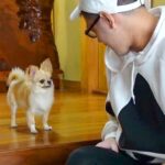 『じゃあ、行ってくるで』パパが外出→犬が玄関で待ち続けて…あまりにも健気な『お留守番の様子』に反響「愛感じる」「文句言ってて可愛いｗ」(ブログ)