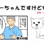 ちーちゃんですけどもっ【第350話】「人も犬も自立神経が大事」(ブログ)