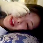 帰宅して真っ先に『猫を撫でた』結果→超大型犬が嫉妬して…自分の大きさを理解していない『ヤキモチ』が53万再生「思ったより本気で笑うｗｗ」(ブログ)