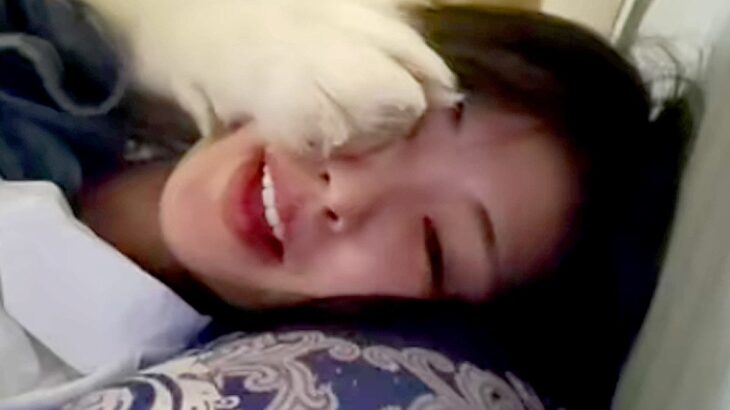 帰宅して真っ先に『猫を撫でた』結果→超大型犬が嫉妬して…自分の大きさを理解していない『ヤキモチ』が53万再生「思ったより本気で笑うｗｗ」(ブログ)