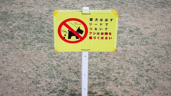 犬が原因で起こり得る『ご近所トラブル』5つ　リスクを回避するために知っておくべきマナーとは？(ブログ)