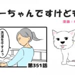 ちーちゃんですけどもっ【第351話】「何見てももう可愛い」(ブログ)