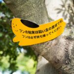 犬との散歩で『知っておくべきマナー』とは？飼い主が絶対やってはいけないNG行為まで(ブログ)