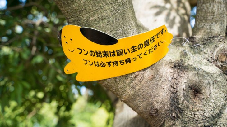 犬との散歩で『知っておくべきマナー』とは？飼い主が絶対やってはいけないNG行為まで(ブログ)