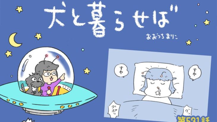 犬と暮らせば【第531話】「真夜中のプリズム」(ブログ)