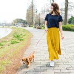 犬を退屈させない『5つの散歩方法』飽きずに満足させるために押さえておきたいポイントまで(ブログ)