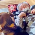 おじいちゃんが大好きすぎる犬→家に遊びに行くと、真っ先に…愛おしすぎる『お互いの反応』が27万再生「じぃじニッコニコ」「どっちも可愛い」(ブログ)