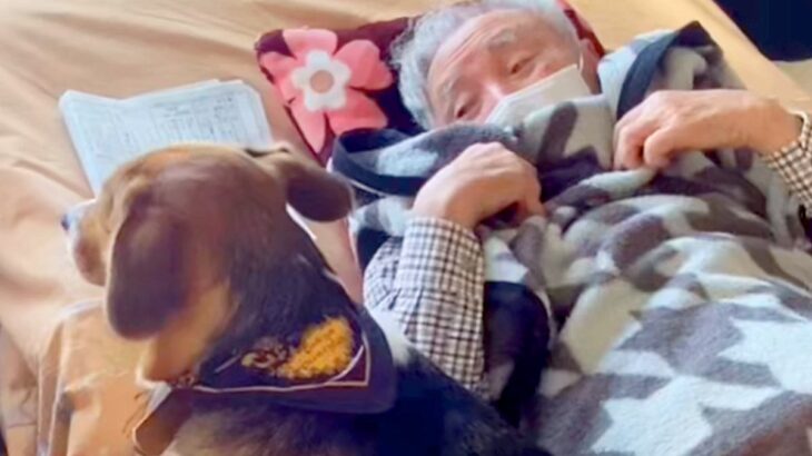 おじいちゃんが大好きすぎる犬→家に遊びに行くと、真っ先に…愛おしすぎる『お互いの反応』が27万再生「じぃじニッコニコ」「どっちも可愛い」(ブログ)