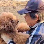 いつも犬と遊んでくれたおじさん→『定年退職でもう会えない』と告げられ…涙あふれる『ふたりの思い出』が20万再生「泣いた」「互いに寂しい」(ブログ)