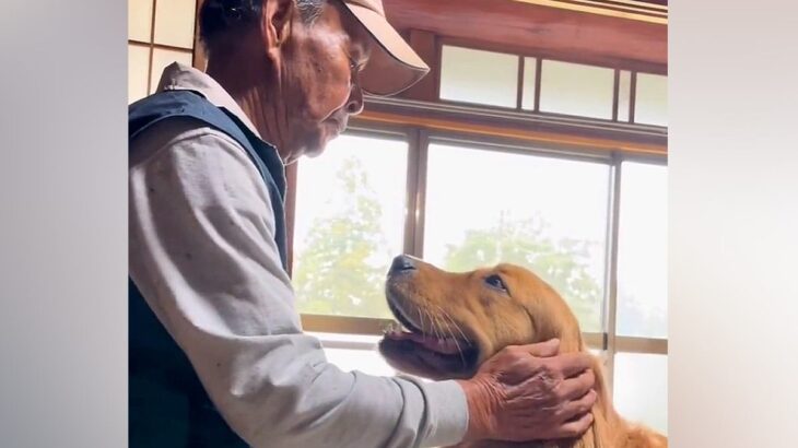 『大好きなおじいちゃん』と会った犬→嬉しくて飛びかかると思いきや…優しさに溢れた『尊い光景』が21万再生「平和な時間」「愛しかない」(ブログ)