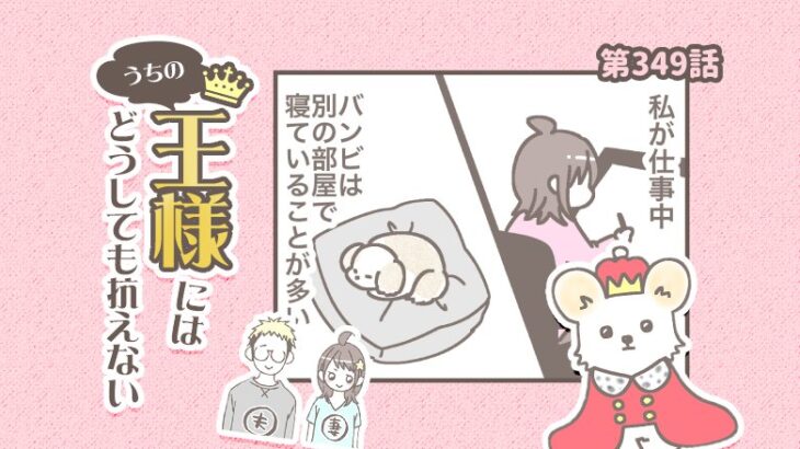 うちの王様にはどうしても抗えない【第349話】「何してたんだろう」(ブログ)