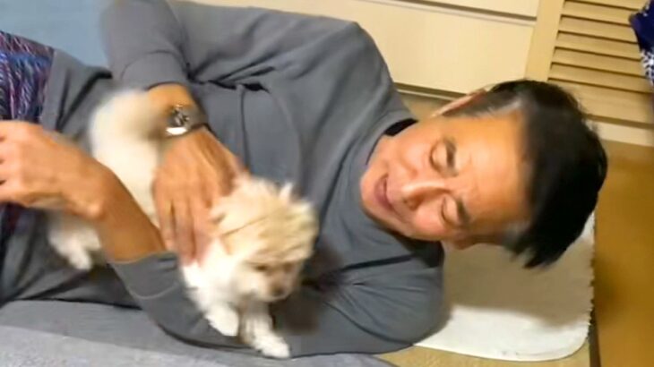父（72歳）が『子犬のしつけに挑戦』した結果→まるで人の親子のような『愛おしいやり取り』が95万再生「どっちも可愛い」「優しさ出てる」(ブログ)