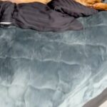 腰痛のため『柔らかいマットレス』を導入→お風呂上がり、ふとベッドを見てみたら…犬がしていた『まさかの行動』に反響「効くわーって顔で草」(ブログ)