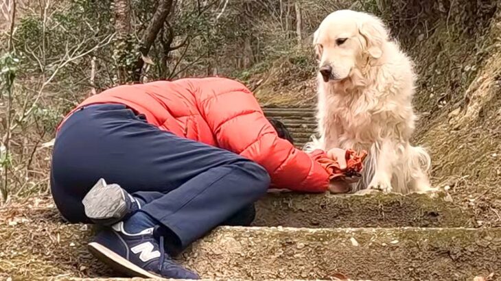 散歩中、大型犬の飼い主が『倒れたフリ』をした結果→必死に起こそうとして…思わず涙する『健気な行動』に反響「一生懸命助けようと…」「感動」(ブログ)