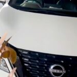 『車で待っててね』と大型犬に伝え、用事を済ませて戻った結果…衝撃的な光景が120万再生「完全に人ｗｗ」「第二種免許持ってる面構えで草」(ブログ)