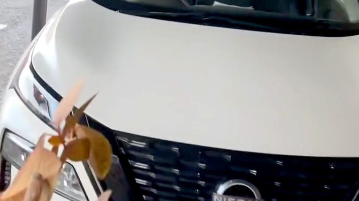 『車で待っててね』と大型犬に伝え、用事を済ませて戻った結果…衝撃的な光景が120万再生「完全に人ｗｗ」「第二種免許持ってる面構えで草」(ブログ)