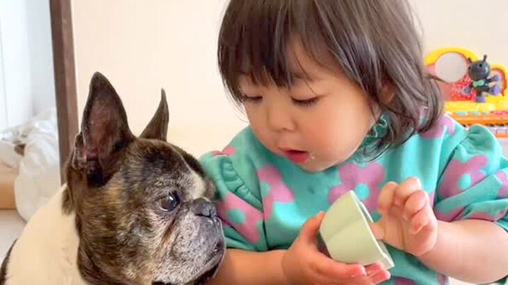 小さな女の子が、犬に『いちご食べる？』と聞いた結果→まるで会話をしているようで…尊いやり取りが86万再生「成り立ってる」「見てて幸せ」(ブログ)