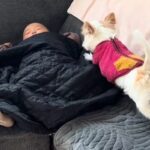 ソファーで眠る赤ちゃん→なぜか『犬』が近づいていき…あまりにも尊い『一緒にお昼寝する光景』に反響「幸せが形になってる…」「最高の場所」(ブログ)