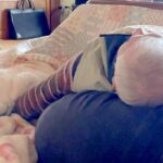 コタツの中『おじいちゃんの腕枕』でうとうとする老犬…尊すぎる『ふたりの時間』に反響「ジーンときた」「専用の特等席」「いつまでも元気で」(ブログ)