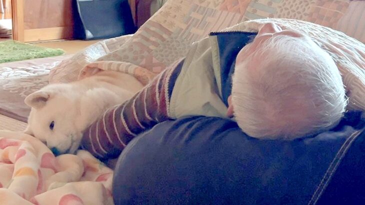 コタツの中『おじいちゃんの腕枕』でうとうとする老犬…尊すぎる『ふたりの時間』に反響「ジーンときた」「専用の特等席」「いつまでも元気で」(ブログ)