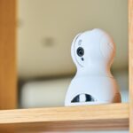 犬との暮らしであるといい『便利グッズ』3つ　QOLを上げるオススメ用品とは？(ブログ)