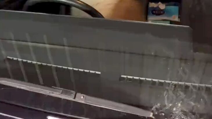 秋田犬と一緒にドライブ→ほんの少し、車内で待ってもらった結果…戻った時の『思わずニヤける光景』に反響「運転しそうｗｗ」「お利口さん」(ブログ)