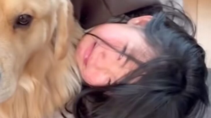 犬に甘噛みされてしまった女の子→びっくりして号泣していると、大型犬が…包容力がありすぎる光景が58万再生「優しい子」「最高の友達」と絶賛(ブログ)