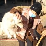 1週間寝たきりだったおばあちゃん→久々に『大型犬』と再会した結果…愛にあふれた光景に感動「泣ける」「本当に嬉しそう」「大好きなんだね」(ブログ)