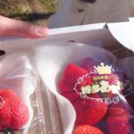 犬が『大好物のいちご』を見た結果→絶対に無視できない『反則すぎる表情とおてて』に17万いいね「アザラシで可愛い」「素晴らしい」と悶絶(ブログ)