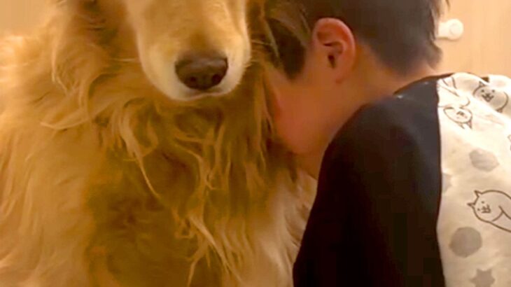 息子を『大きな声で叱ってしまった』結果→大型犬に助けを求めて…母親に見せた『激怒の表情』が895万再生「息子を守る顔…」「涙が出てきた」(ブログ)