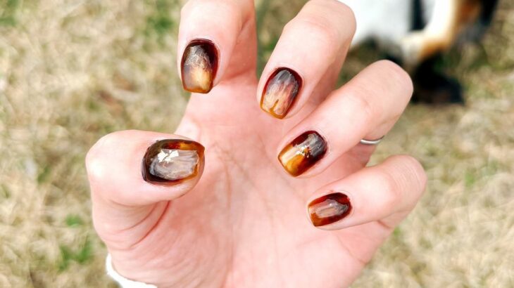 何気なくネイルの写真を撮影→背景には『犬』がいて…ツッコミが殺到した『自由すぎる光景』に2万いいね「自由さが良い」「クセｗｗ」と爆笑(ブログ)