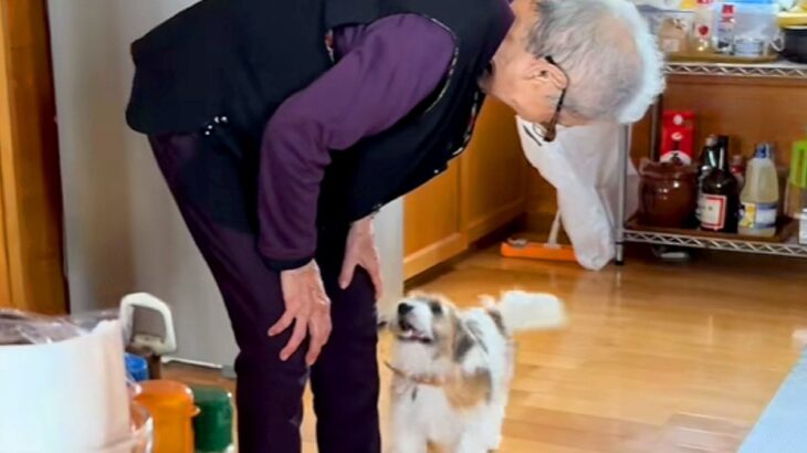『96歳のおばあちゃんと子犬』が初めて出会った結果→まるで本当の孫のような『ふたりのやり取り』に反響「可愛すぎて泣けた」「嬉しそう」(ブログ)