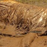 大型犬とドライブデートしていたら、20分後に…もはや犬とは思えない『衝撃の光景』が30万表示「大笑いしたｗｗ」「やり切ってドヤ顔なの草」(ブログ)