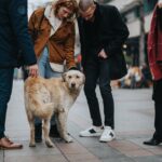 他人の犬にしてはいけない『絶対NG行為』5つ　思わぬアクシデントが発生することも…(ブログ)