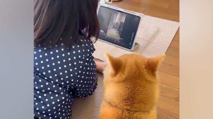 タブレットを一緒に見る女の子と犬→まるで本当の姉妹のような『平和な光景』に反響「ちゃんと見てるの可愛い」「後ろ姿が家族って感じ」と絶賛(ブログ)