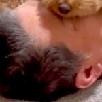 『息できてる？』寝ているパパの布団に、犬が乗ってきて…思わず心配してしまう『まさかの光景』が123万再生「固定してるｗ」「大きな目隠し」(ブログ)