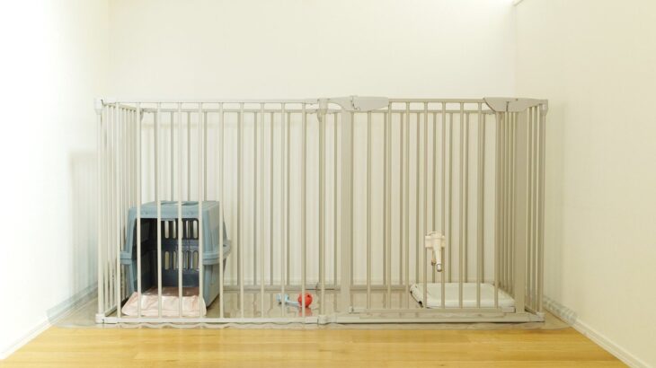 犬の『ケージ』絶対NGな置き場所4選　ストレスや体調不良の原因となる位置とは？(ブログ)