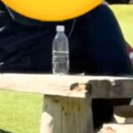 ドッグランで『愛犬の姿が見当たらない』と思い、辺りを見渡したら…『衝撃の光景』が16万再生「お世話になりましたｗｗ」「乗り換えてて草」(ブログ)