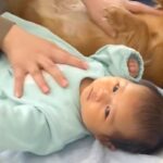 赤ちゃんと『ふれあい遊び』をする母親→なぜか横で『犬も参加』して…どっちが赤ちゃんかわからない光景が114万再生「ほっこり」「表情がｗ」(ブログ)