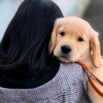 幼稚園の頃から『犬を飼いたい』と言っていた女の子→9歳の時に大型犬を飼った結果…尊すぎる『現在の光景』が29万再生「愛が溢れてる…」(ブログ)