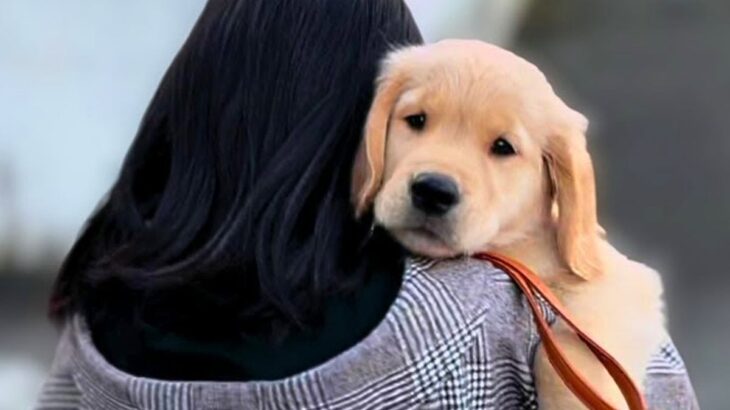 幼稚園の頃から『犬を飼いたい』と言っていた女の子→9歳の時に大型犬を飼った結果…尊すぎる『現在の光景』が29万再生「愛が溢れてる…」(ブログ)