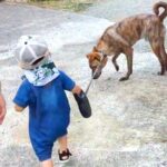 小さな男の子が『元猟犬のリード』を持って散歩に挑戦→気を遣って見せた『まさかの光景』に反響「しっかり理解してる」「いい関係」「感動した」(ブログ)