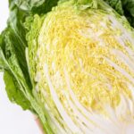 犬に『白菜』を与えても大丈夫？食べさせる前に押さえておきたいポイントまで(ブログ)